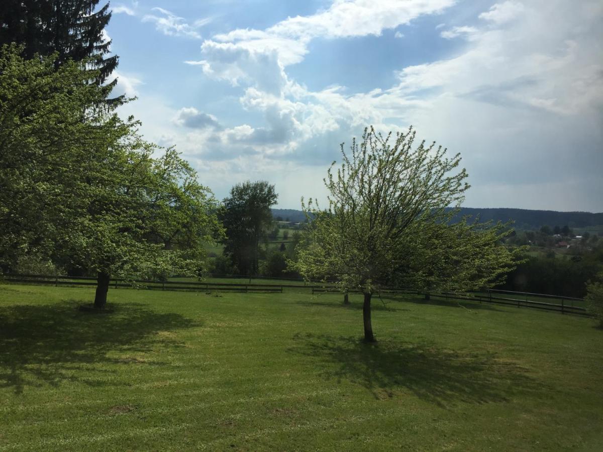 Pension Berghof Schönsee Esterno foto